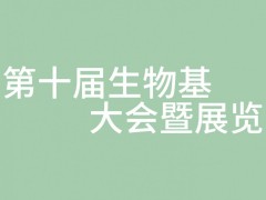  生物基橡胶助剂新突破：京博中聚衣康酸酯橡胶实现千吨级量产